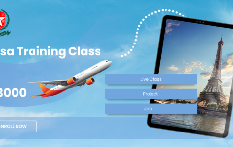 Blue Simple Creative Illustration Plane Business Visa Price Service Promotion Web Banner