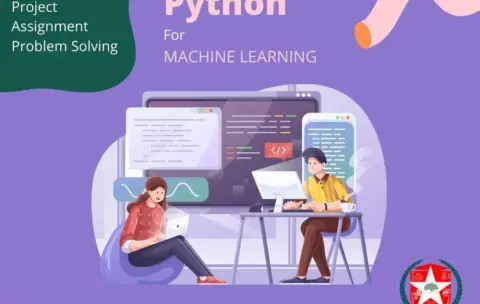 Purple Illustrated Python Programming Instagram Stories